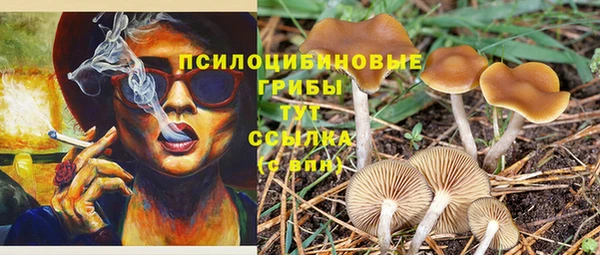 экстази Аркадак
