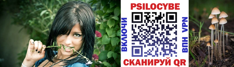 Купить где  Нелидово  Галлюциногенные грибы GOLDEN TEACHER 